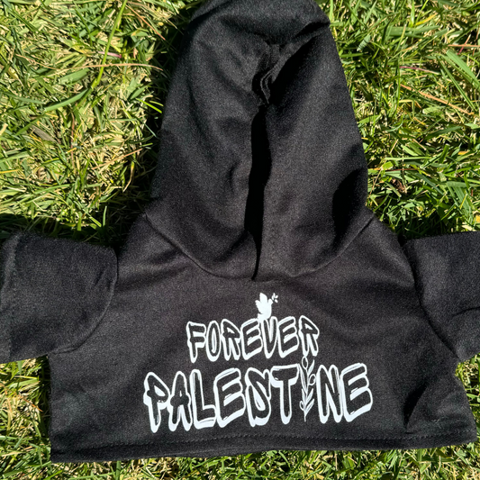 4EVER PALI TEDDY HOODIE