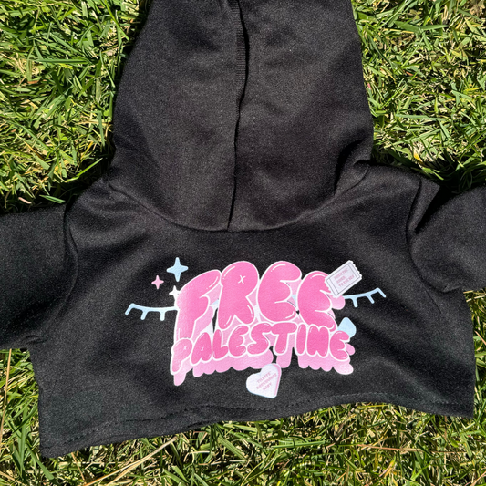 ALL THINGS PINK TEDDY HOODIE