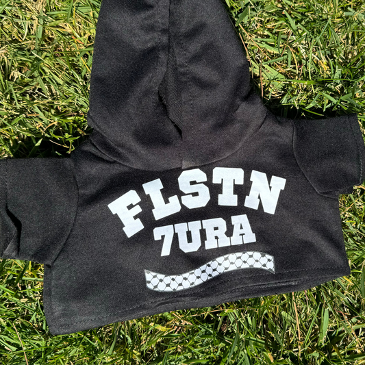 FLSTN 7URA TEDDY HOODIE